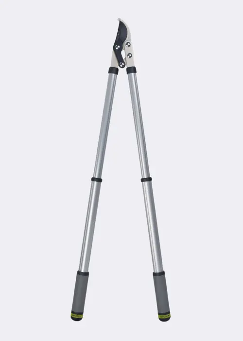RHS Telescopic Handled Ratchet Lopper