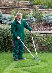 RHS Lawn Shear