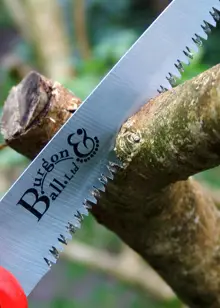 RHS Folding Pruning Saw 15cm