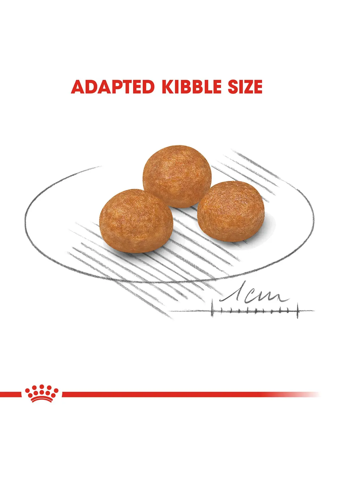 A photo of Royal Canin XS Adult Dry Dog Food 1.5kg