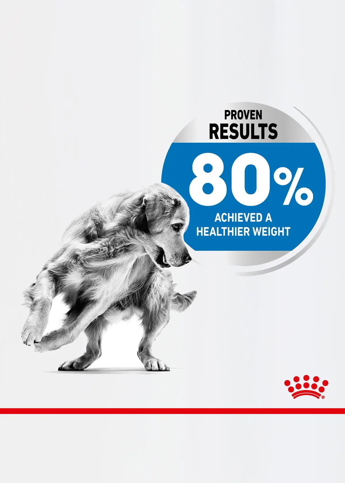 A photo of Royal Canin Medium Lightweight Care 3kg