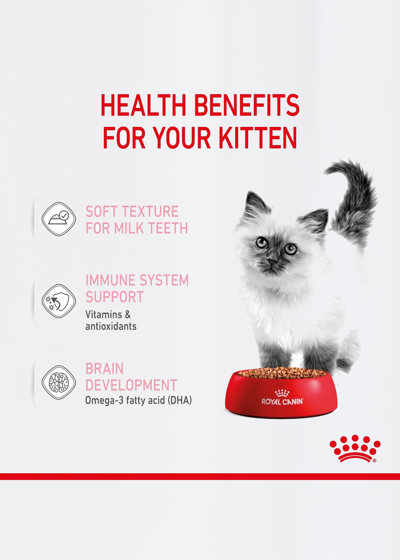 Royal Canin Kitten Food in Gravy 85g