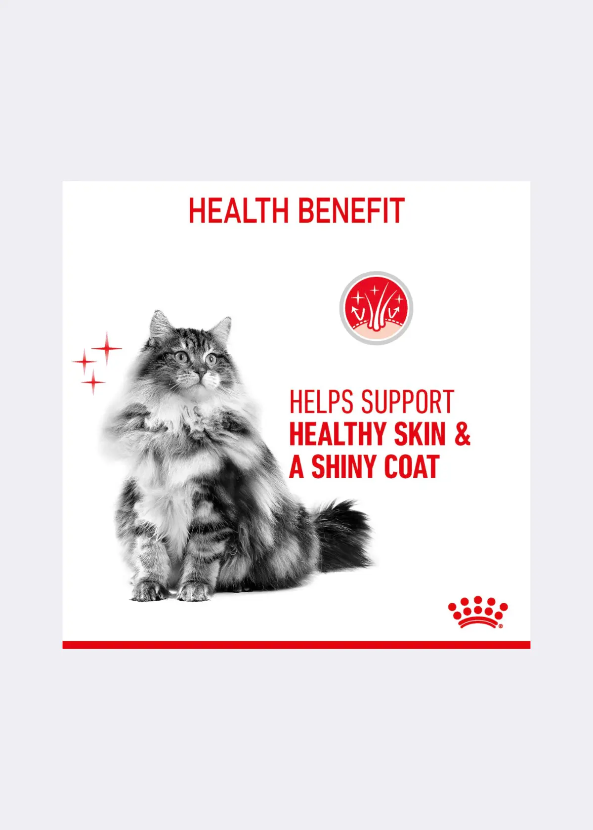 A photo of Royal Canin® Feline Hair & Skin Care Dry Cat Food 2kg