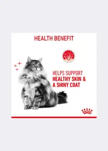Royal Canin® Feline Hair & Skin Care Dry Cat Food 2kg