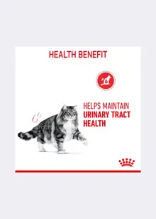 Royal Canin® Feline Urinary Care Dry Cat Food 400g