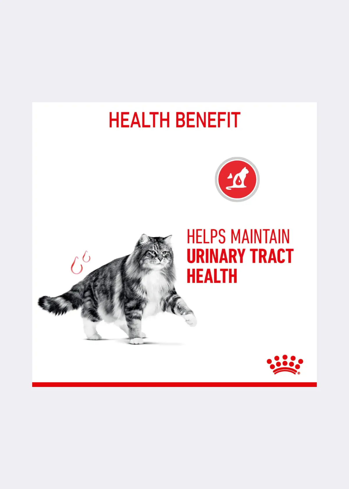 A photo of Royal Canin® Feline Urinary Care Dry Cat Food 2kg