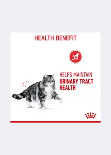 Royal Canin® Feline Urinary Care Dry Cat Food 2kg