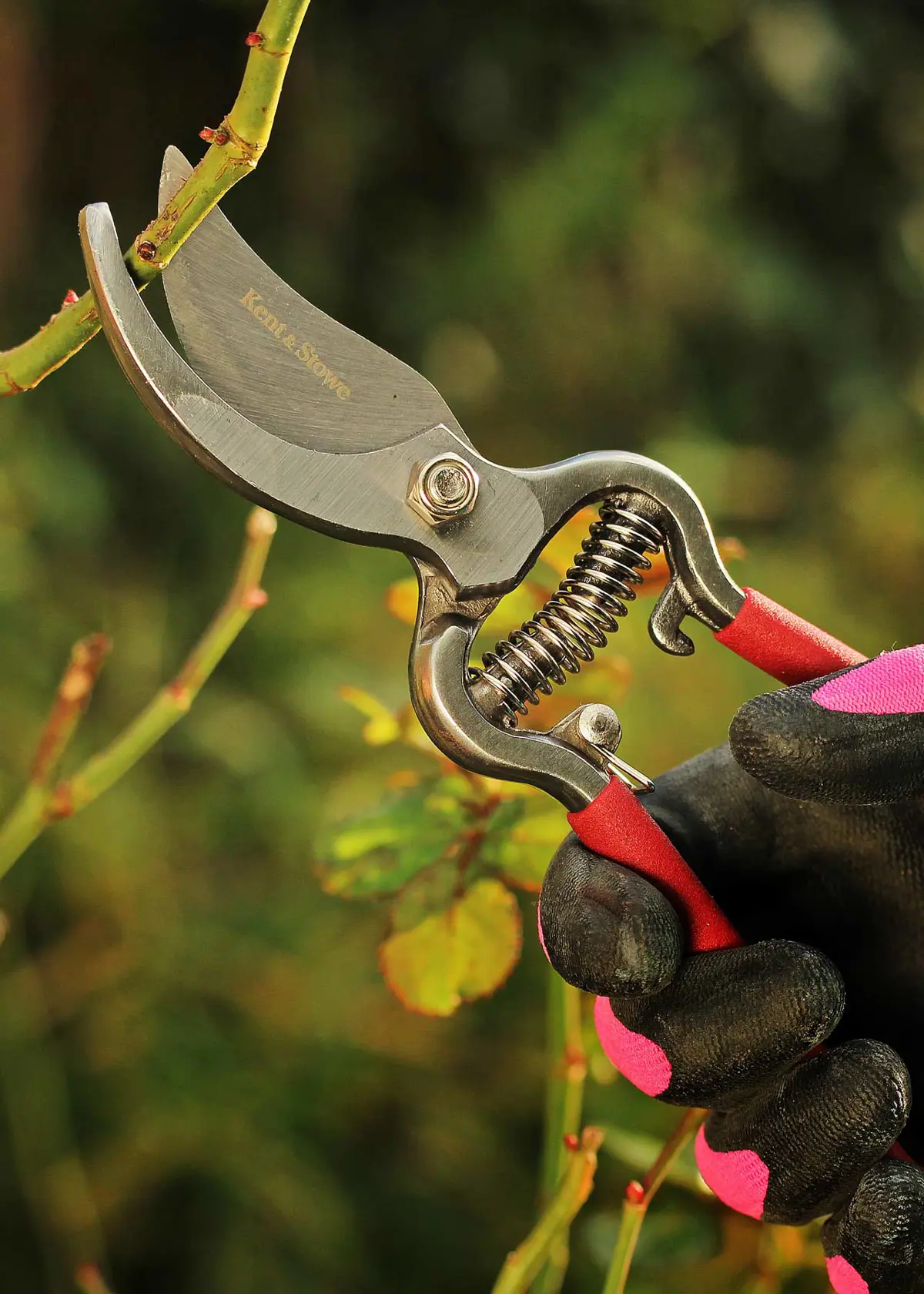 Kent & Stowe Traditional Bypass Secateurs