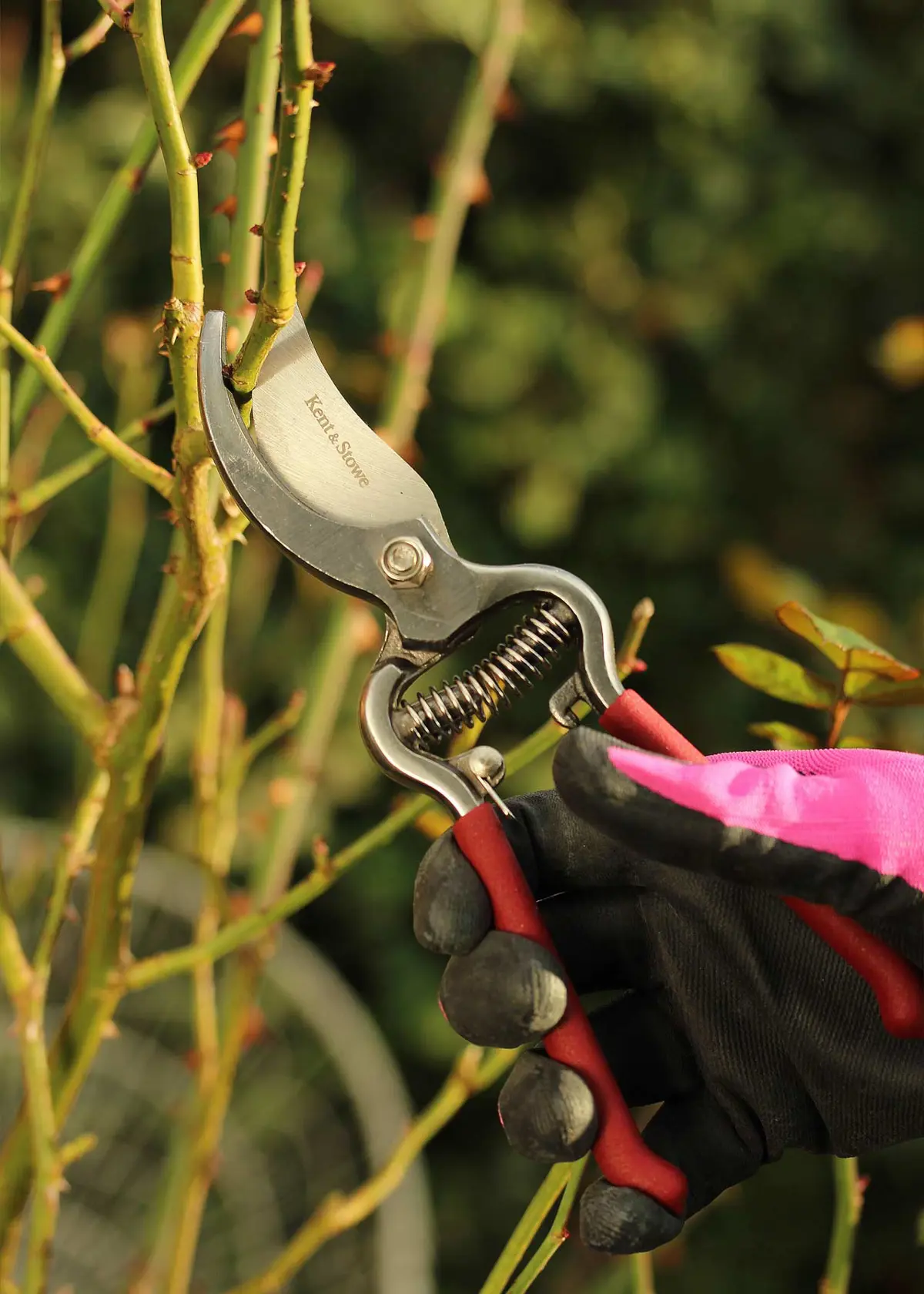 Kent & Stowe Traditional Bypass Secateurs