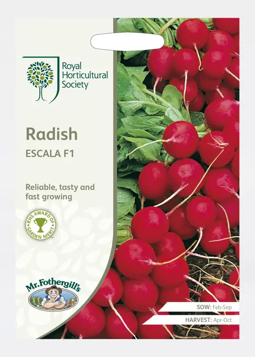 A photo of RHS Radish Escala F1 Seeds
