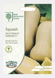 Rhs Squash (Butternut) Harrier F1 Seeds