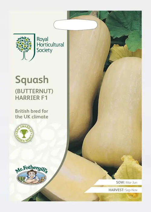 A photo of Rhs Squash (Butternut) Harrier F1 Seeds