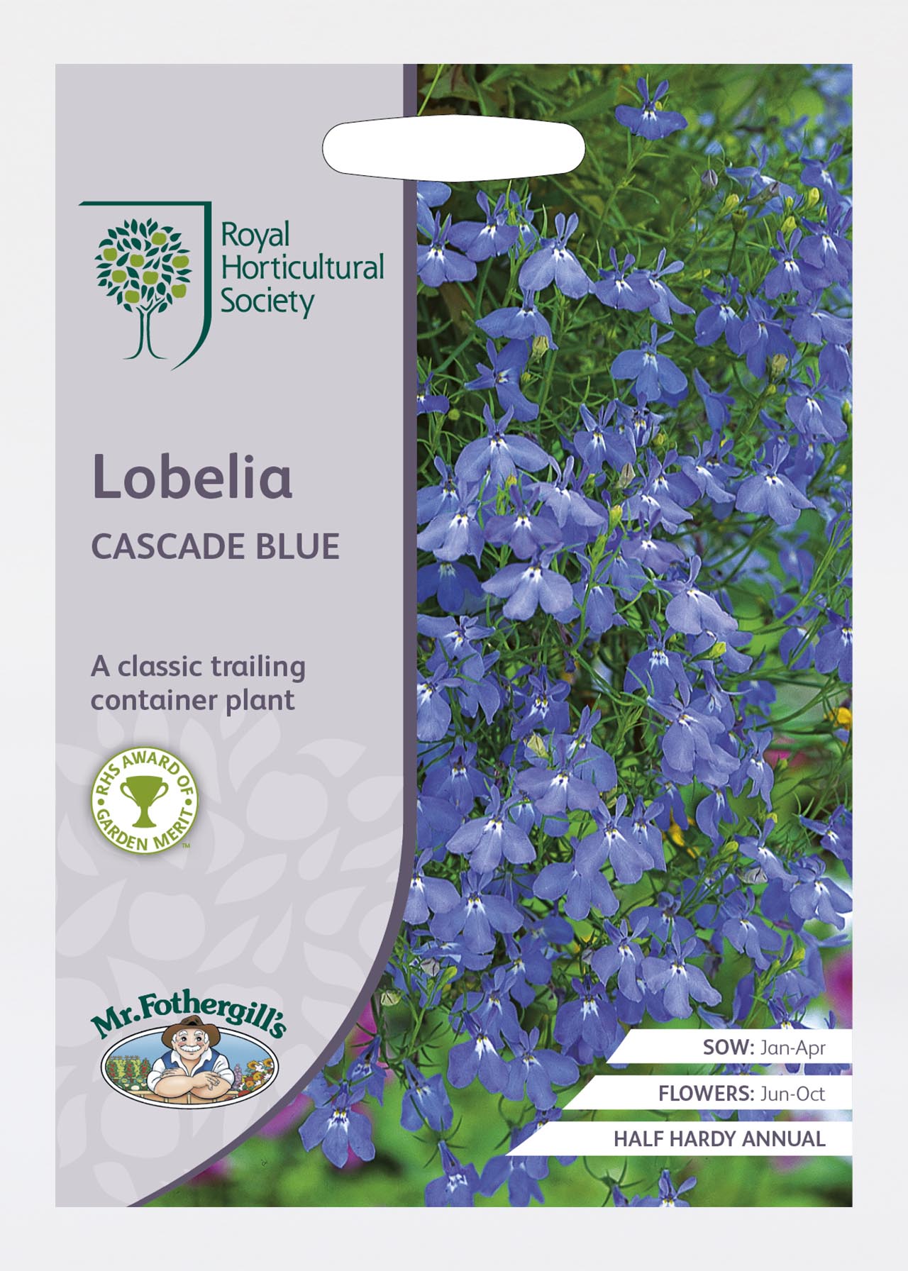 Rhs Lobelia Cascade Blue Seeds