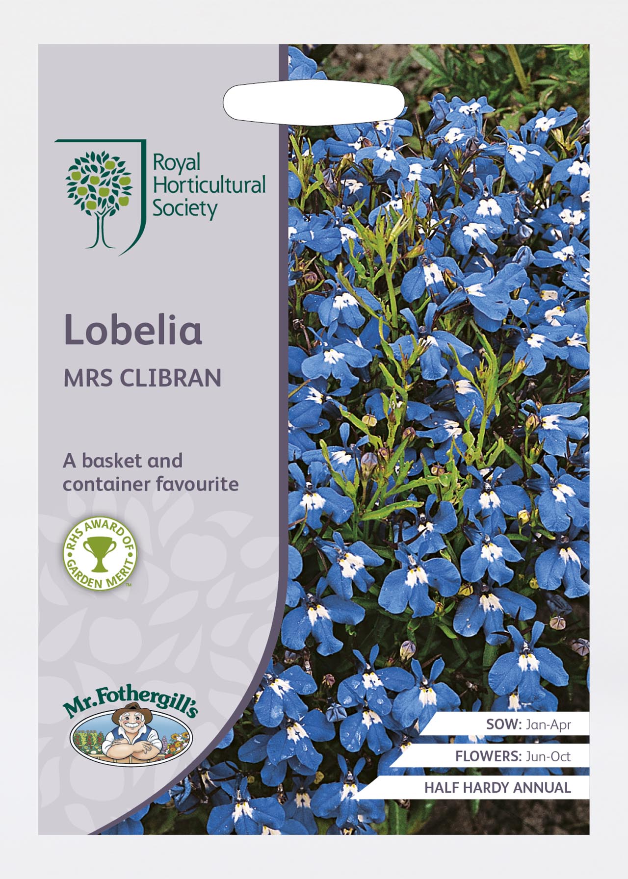 RHS Lobelia Mrs Clibran Seeds