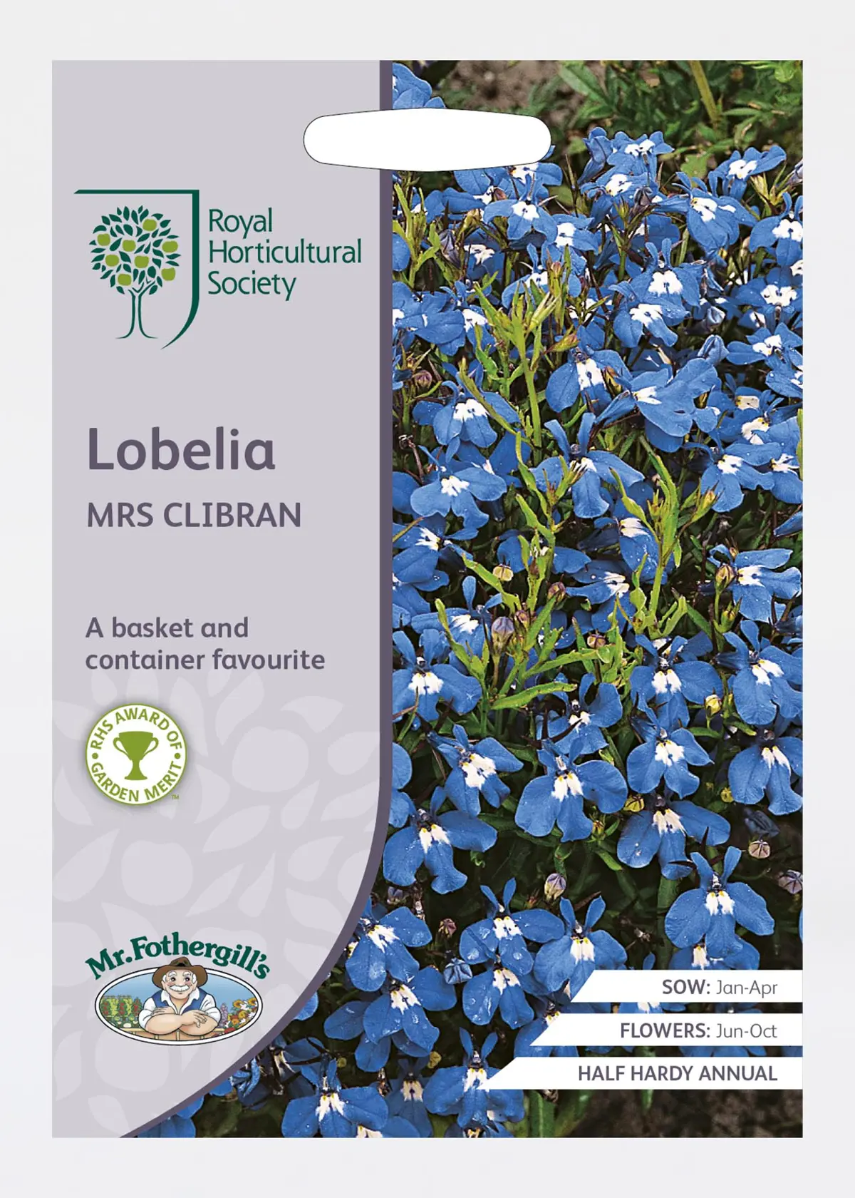 A photo of RHS Lobelia Mrs Clibran Seeds