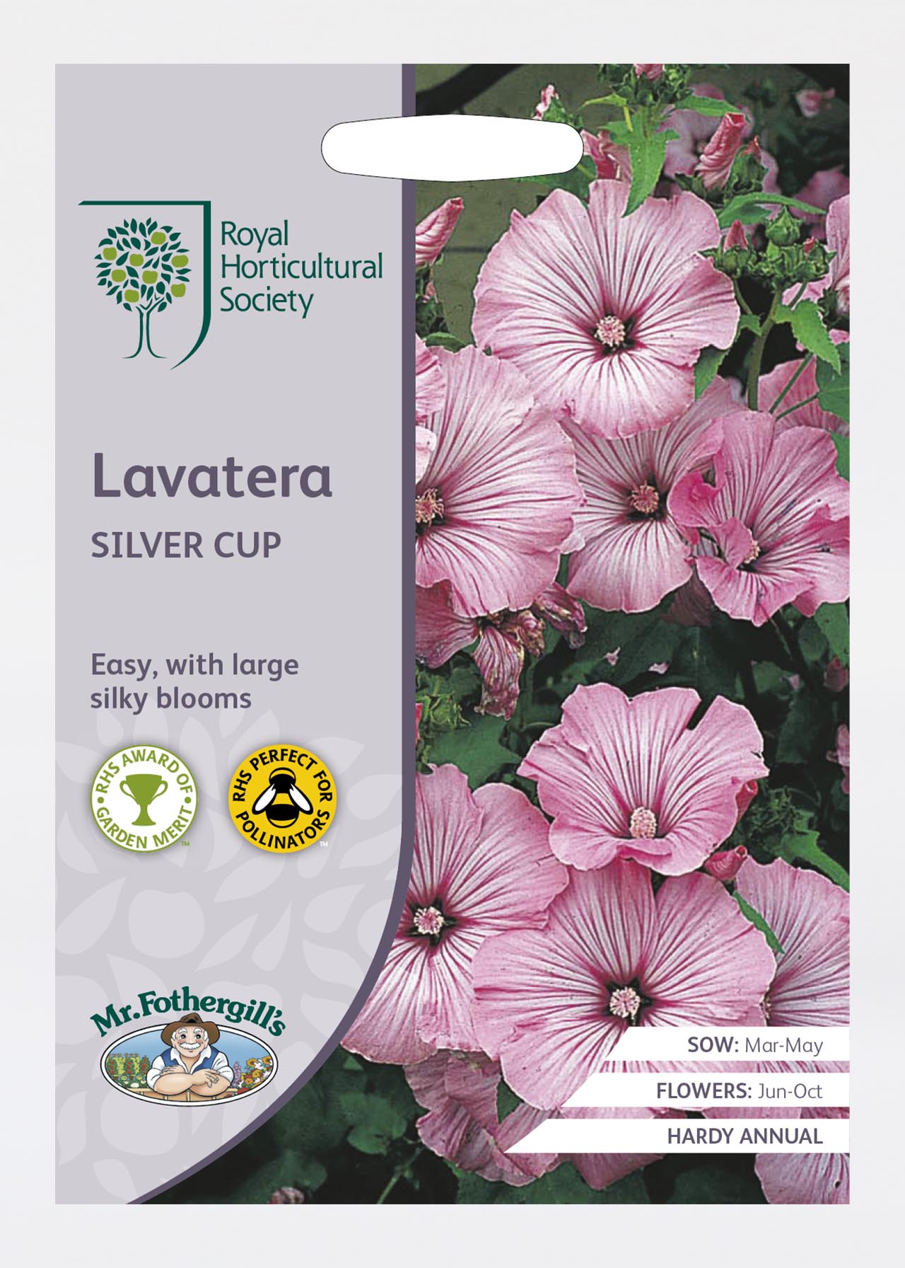 RHS Lavatera Silver Cup Seeds