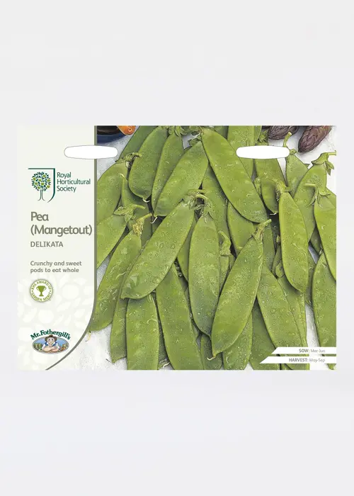 A photo of RHS Pea (Mangetout) Delikata Seeds
