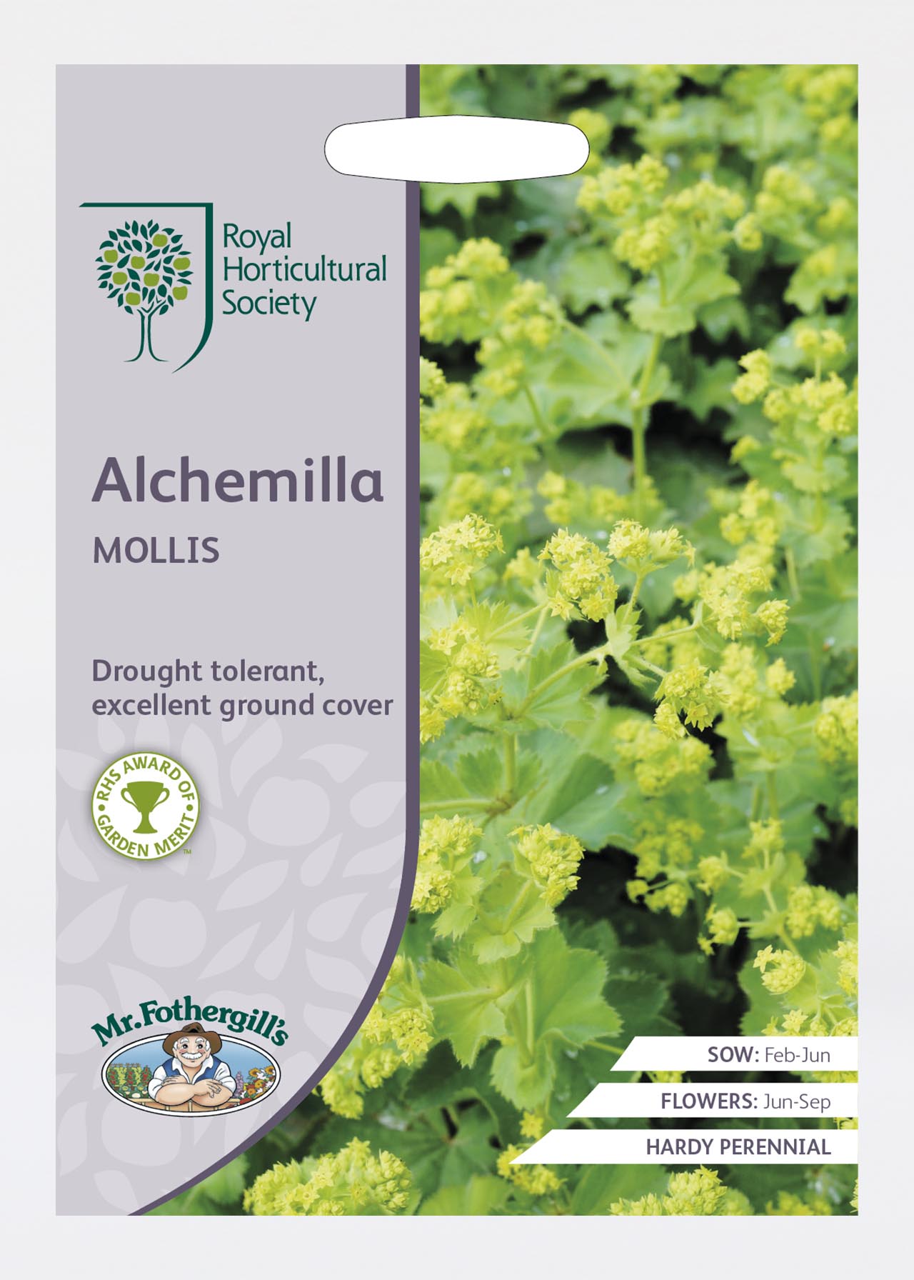 RHS Alchemilla Mollis Seeds