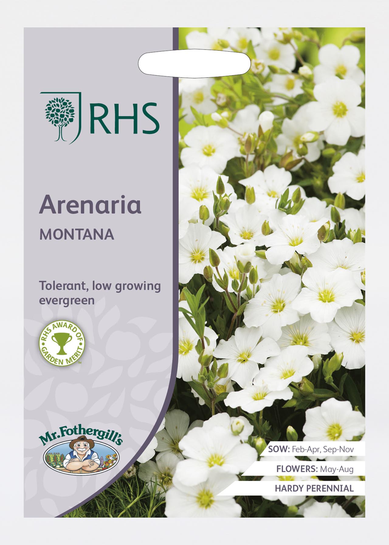 RHS Arenaria Montana Seeds
