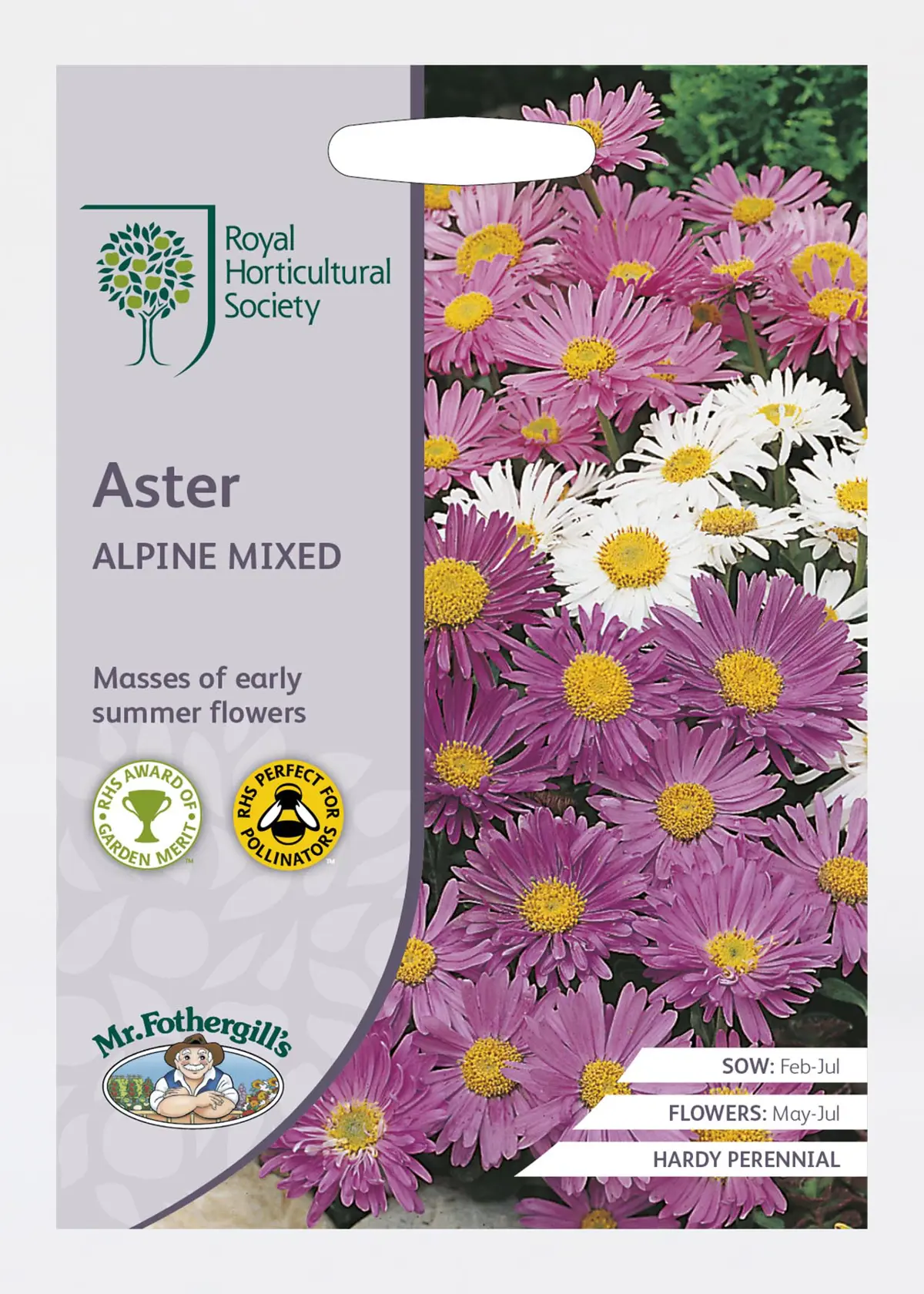 A photo of RHS Aster Alpine Mixed Seeds