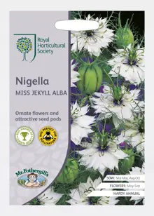 RHS Nigella Miss Jekyll Alba Seeds