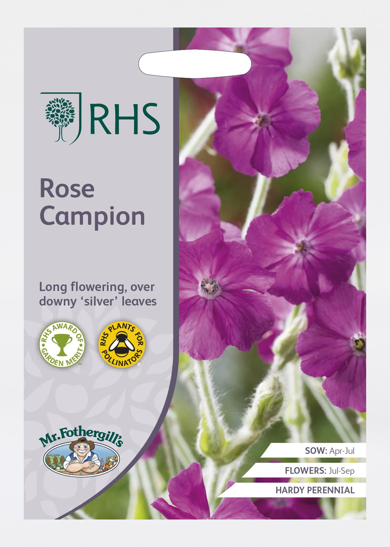 Rhs Rose Campion Seeds