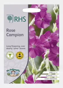 Rhs Rose Campion Seeds