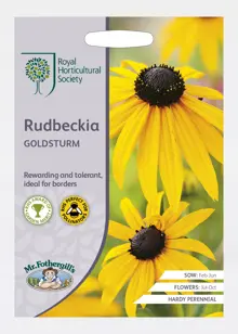 RHS Rudbeckia Goldsturm Seeds