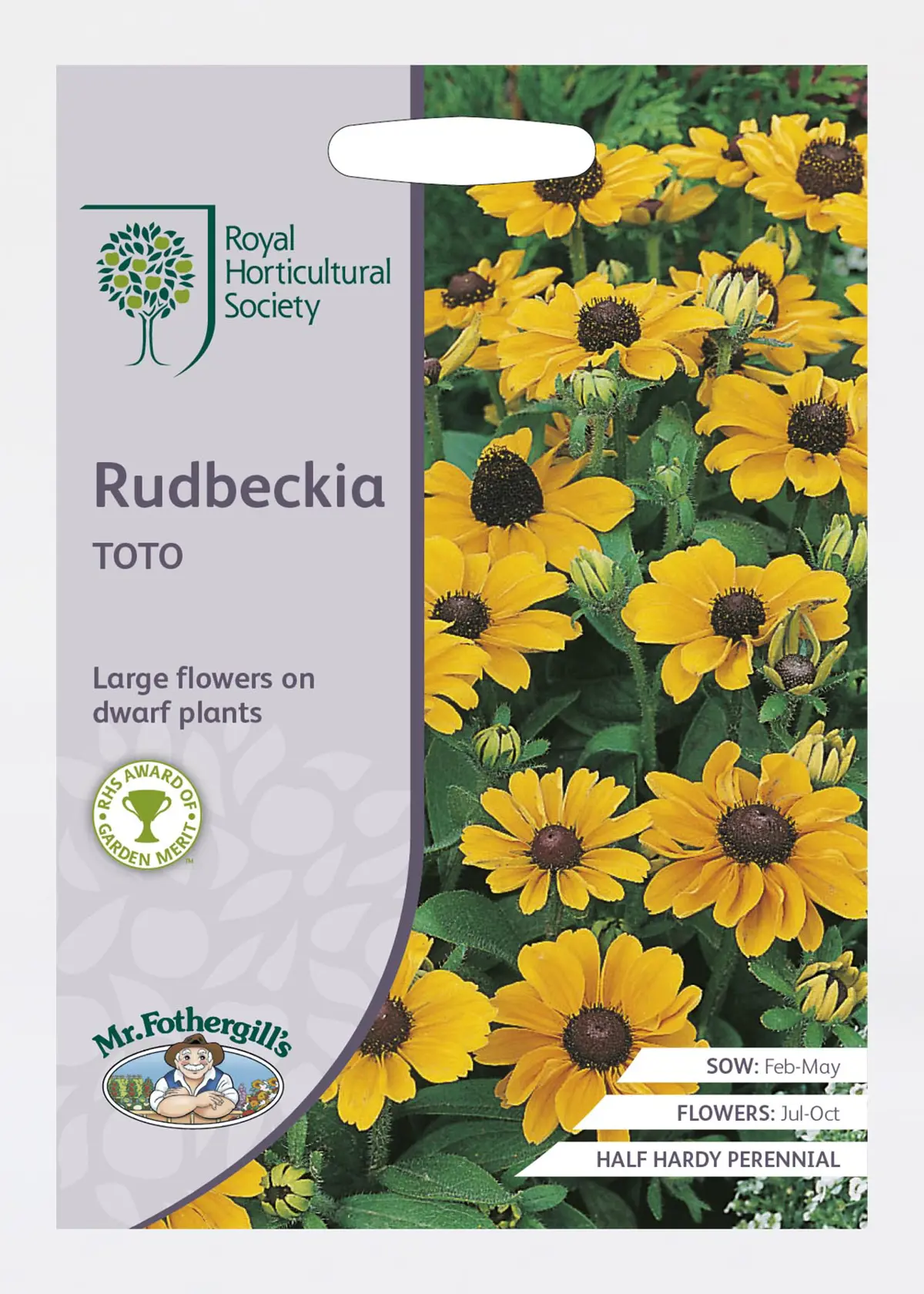 A photo of RHS Rudbeckia Toto Seeds