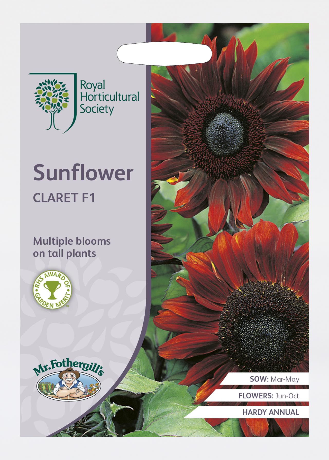 RHS Sunflower Claret F1 Seeds