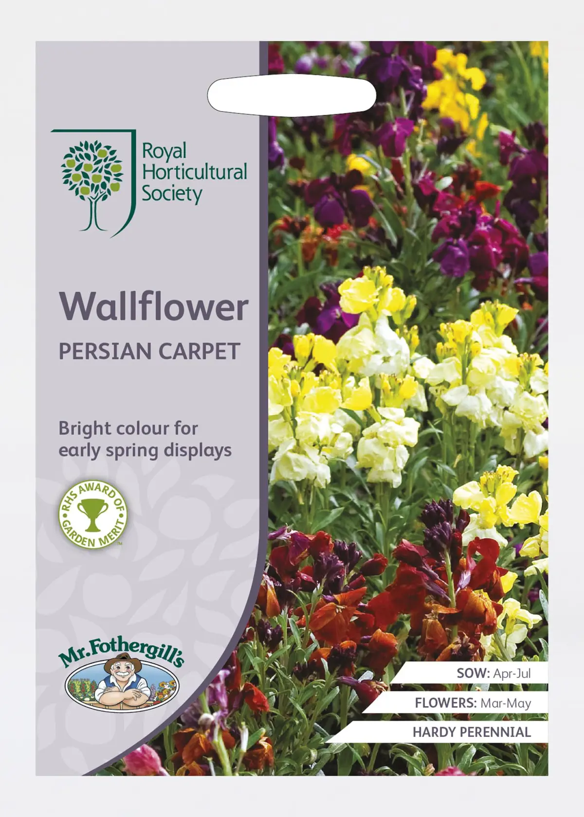 A photo of RHS Wallflower Persian Carpet Seeds