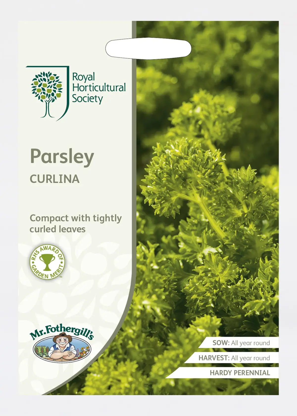 A photo of RHS Parsley Curlina Seeds