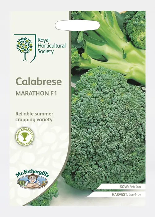 A photo of Rhs Calabrese Marathon F1 Seeds