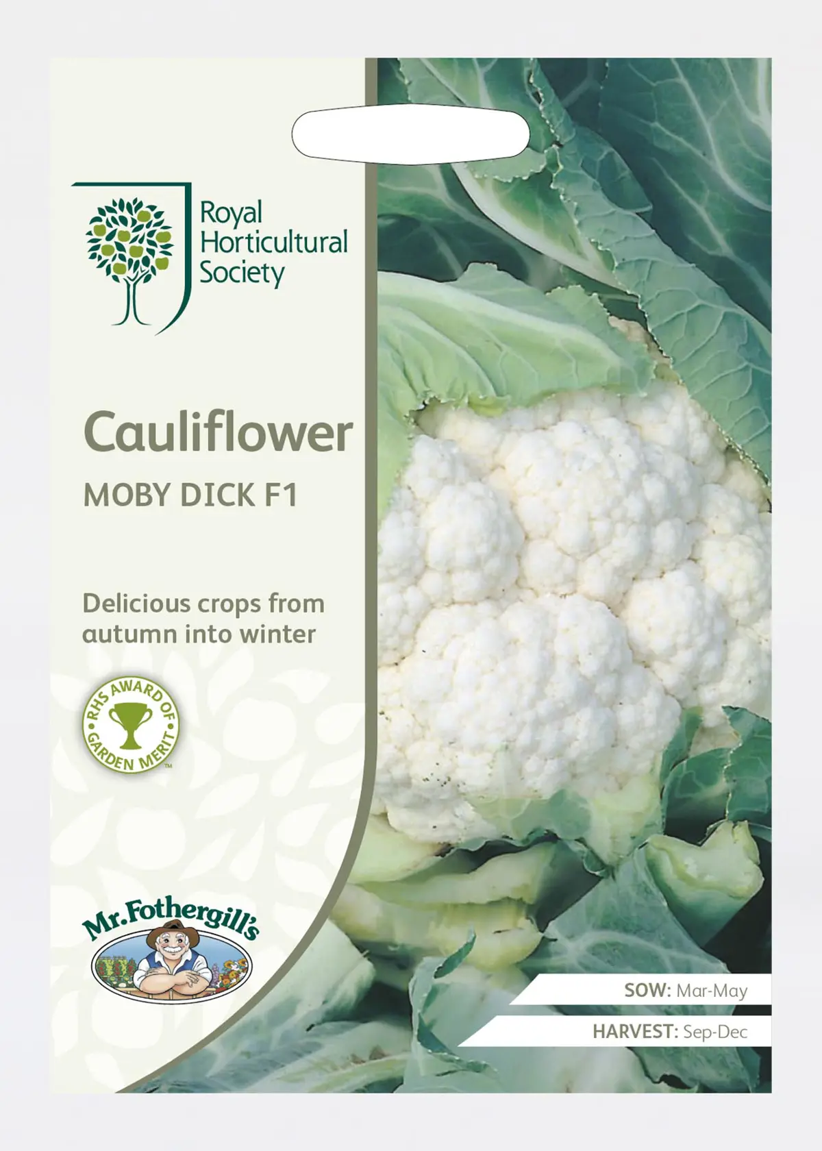 A photo of Rhs Cauliflower Moby Dick F1 Seeds