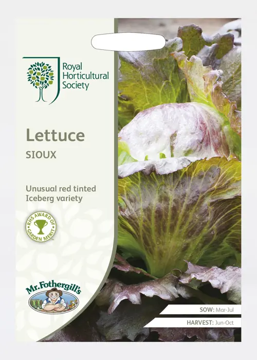 A photo of RHS Lettuce Sioux (Crisphead) Seeds