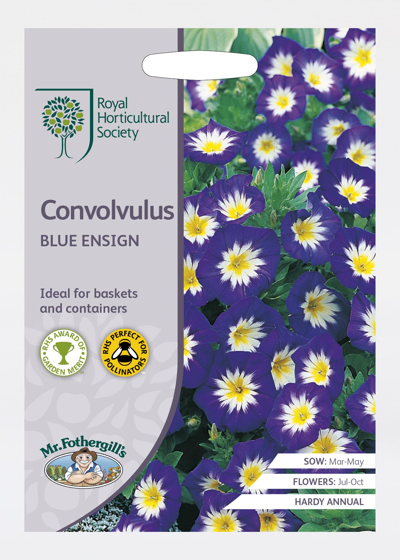 RHS Convolvulus Blue Ensign Seeds