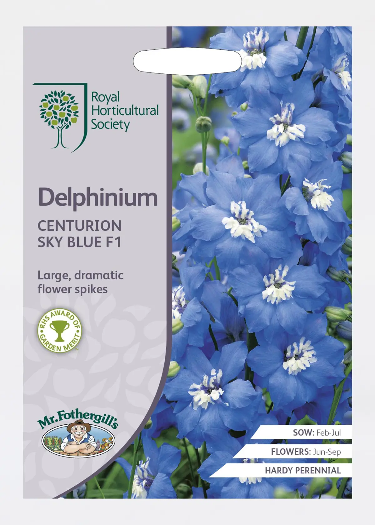 A photo of RHS Delphinium Centurion Sky Blue F1 Seeds