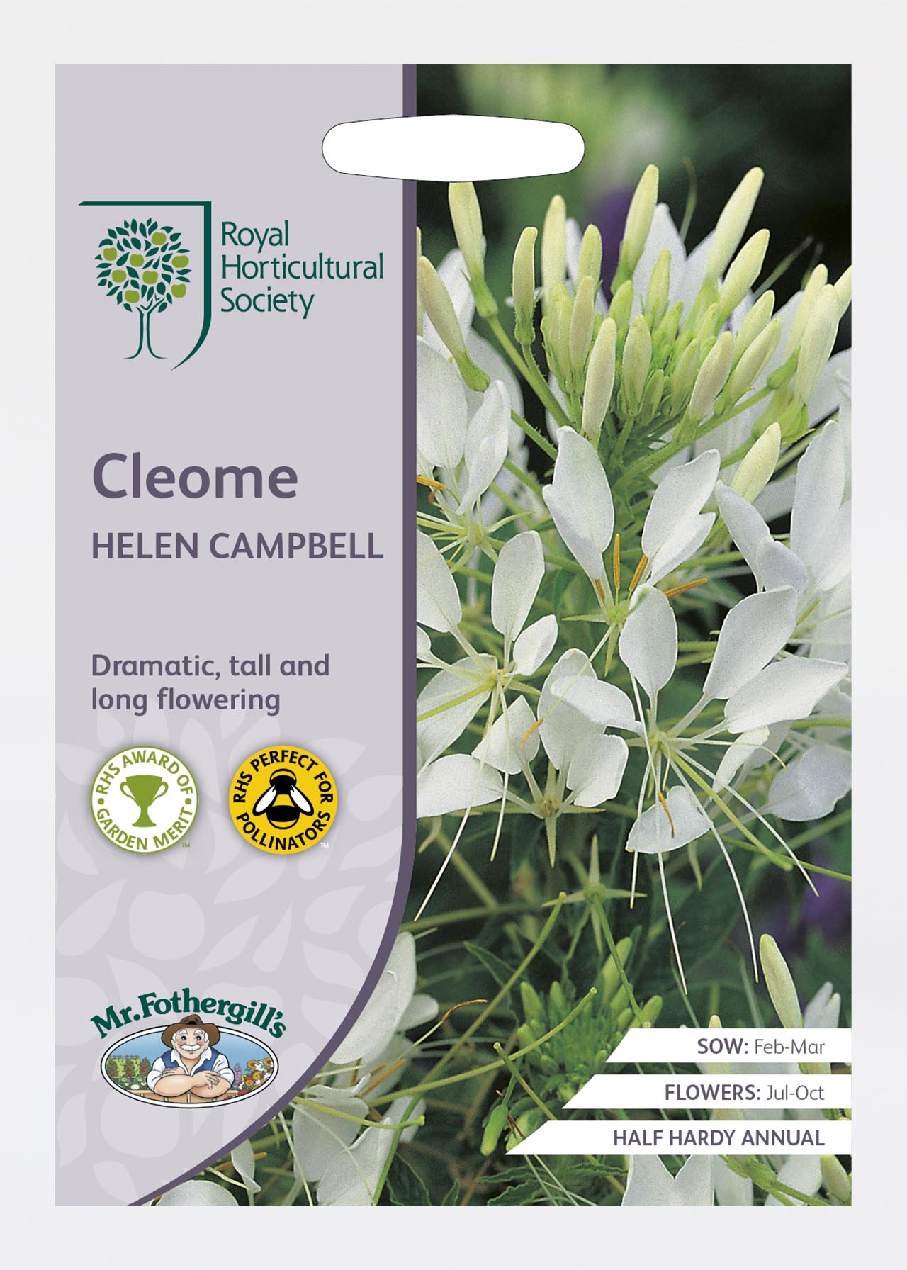 RHS Cleome Helen Campbell Seeds