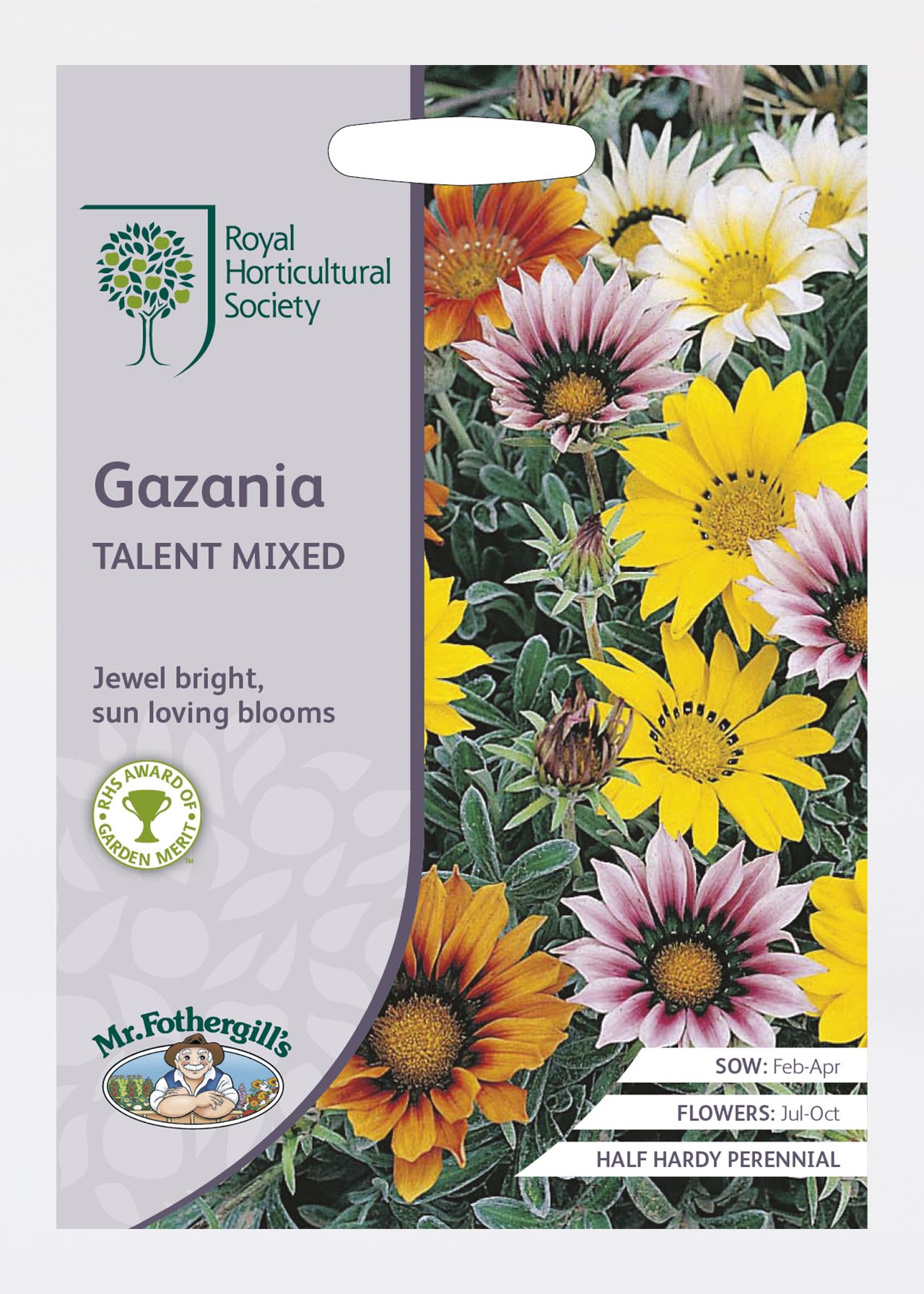 RHS Gazania Talent Mixed Seeds