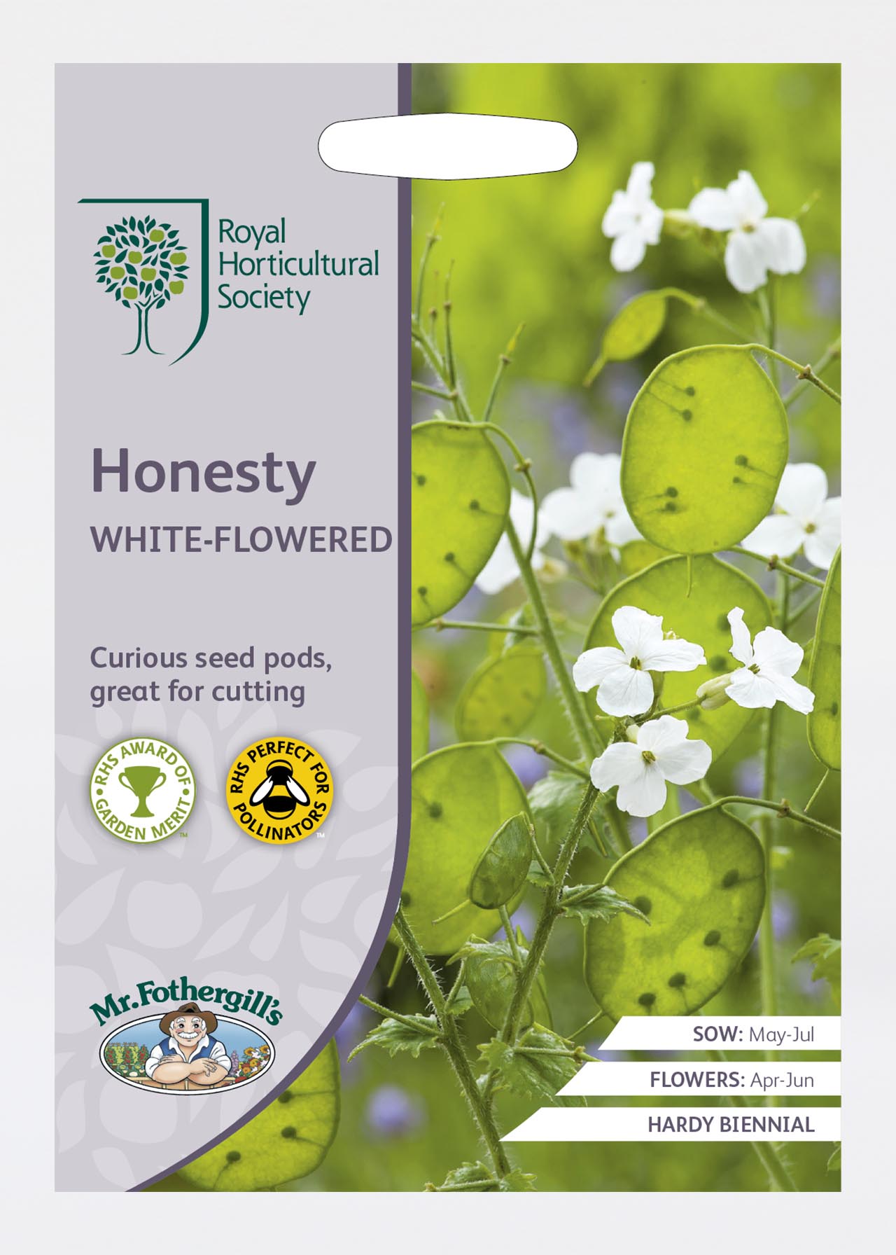 RHS Honesty White-Flowered Seeds