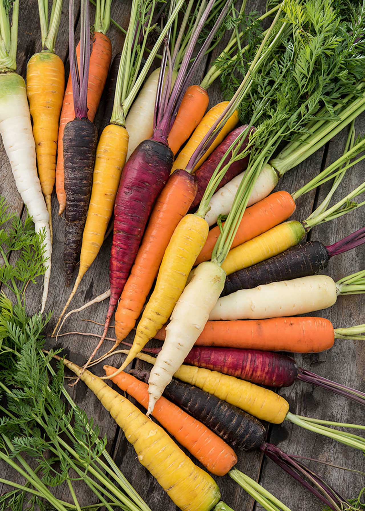 Carrot Rainbow Mixed Strip