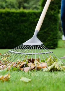 Kent & Stowe Carbon Steel Lawn Leaf Rake