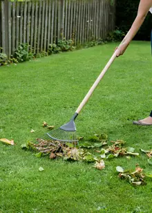 Kent & Stowe Carbon Steel Lawn Leaf Rake