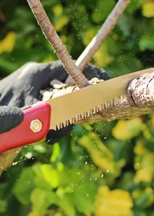 Kent & Stowe Turbo Folding Saw
