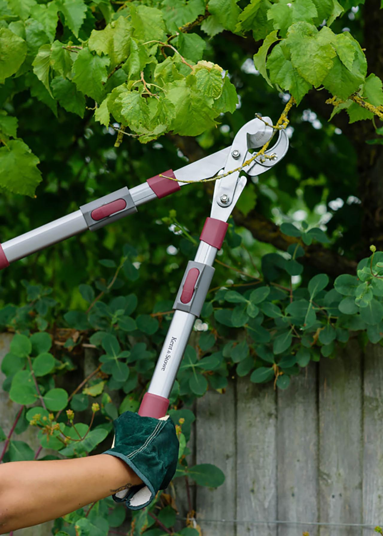K&S Telescopic Geared Anvil Loppers Dobbies Garden Centres