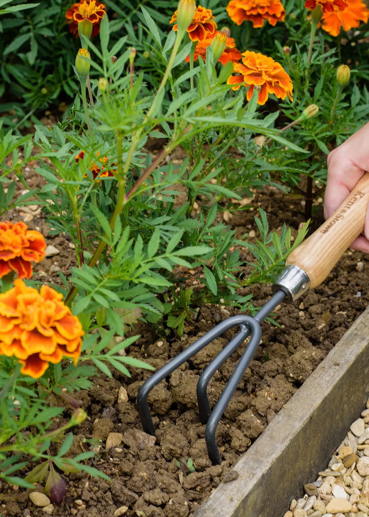 A photo of Kent & Stowe Carbon Steel Hand 3 Prong Cultivator