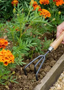 Kent & Stowe Carbon Steel Hand 3 Prong Cultivator