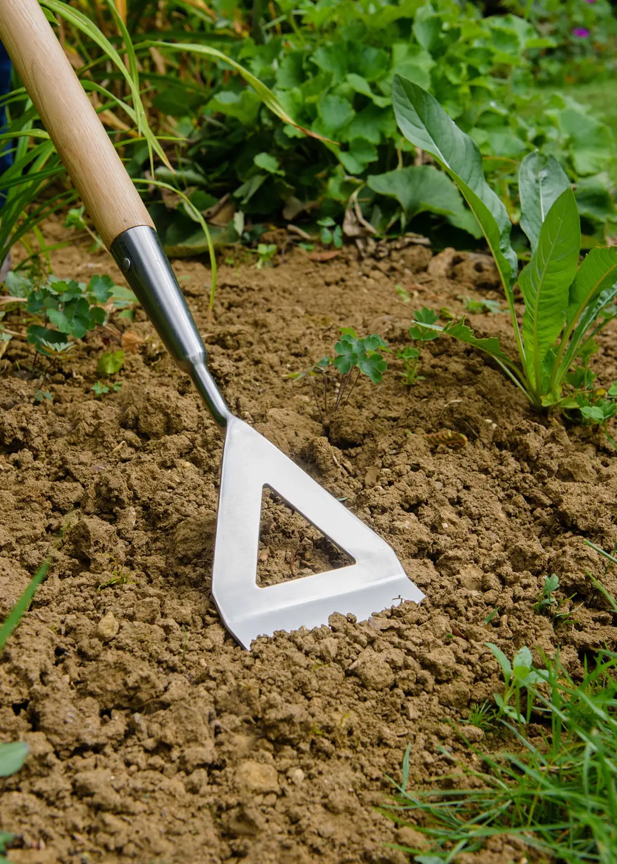 A photo of Kent & Stowe Garden Life Dutch Hoe