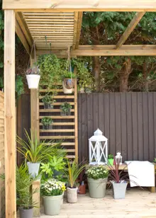 Dining Pergola