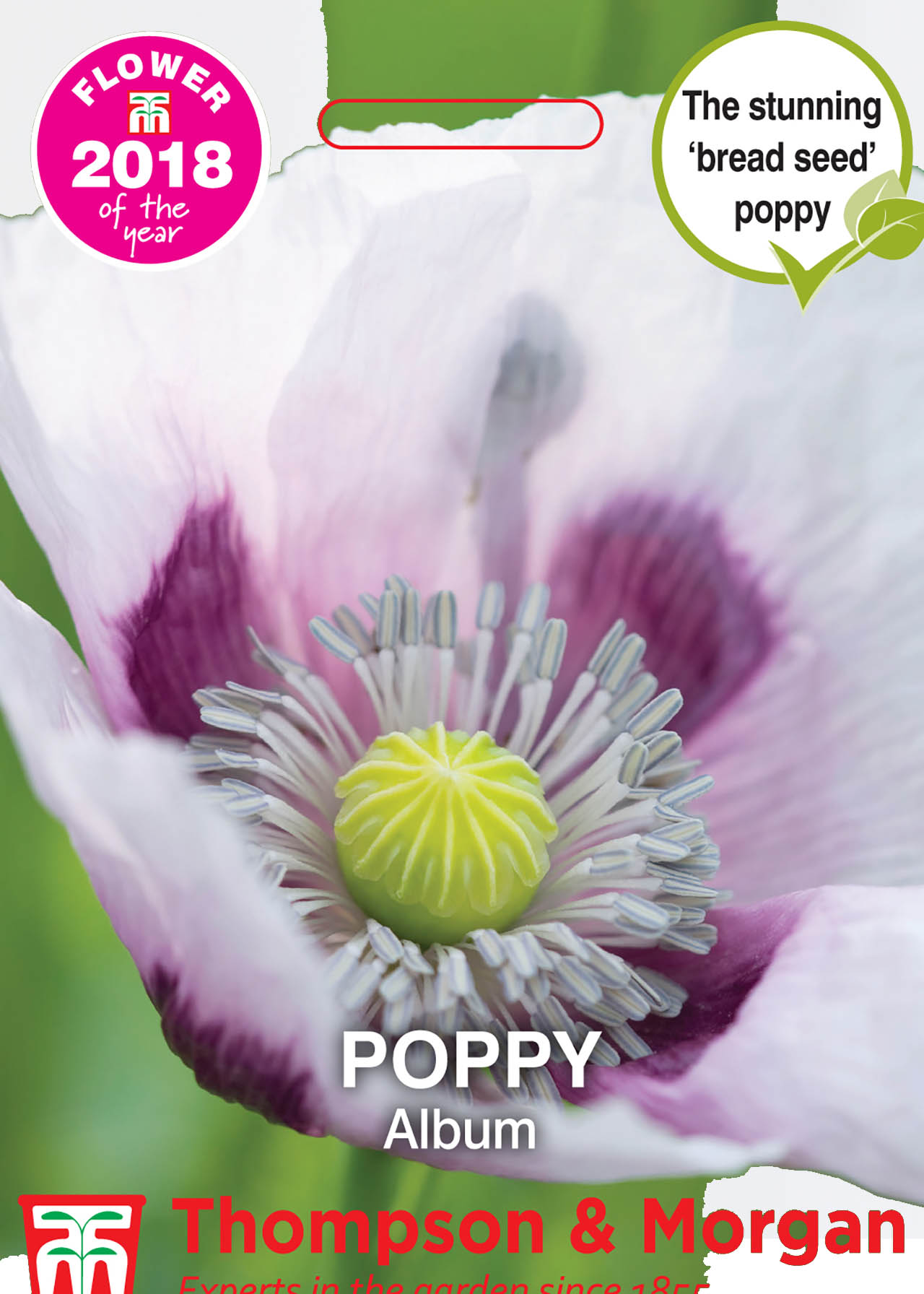 Poppy Album Seeds Dobbies Garden Centres